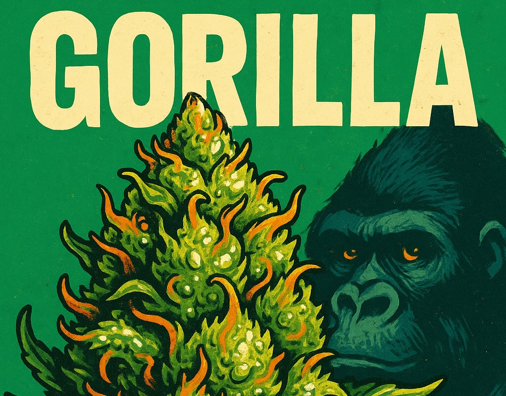 Cima di cannabis Gorilla Glue appiccicosa con muso di gorilla stilizzato su sfondo verde, illustrazione pop