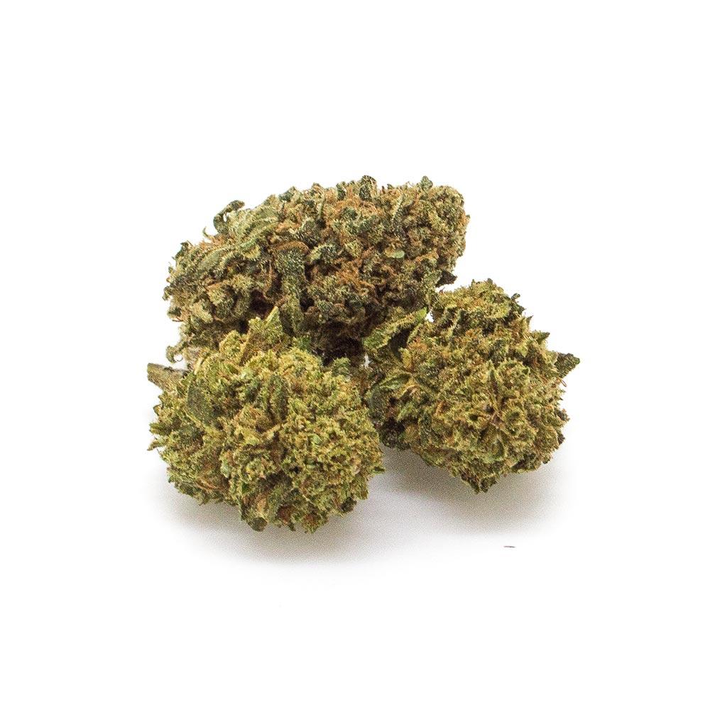 Albero di Natale del Mago Regalo di Natale Cannabis Light legale CBD - Albero di Natale Weedzard Infiorescenza