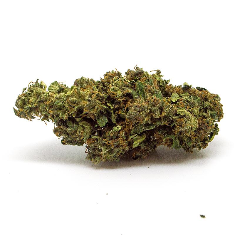 Albero di Natale del Mago Regalo di Natale Cannabis Light legale CBD - Albero di Natale Weedzard Infiorescenza