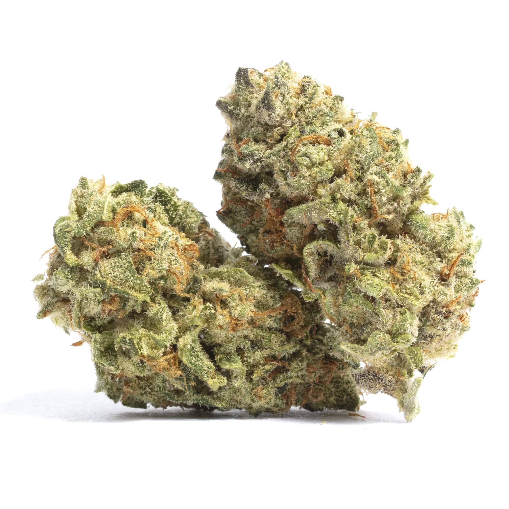 Bubble Gum CBD 20% Bubble Gum Erba Legale CBD 20% Weedzard Infiorescenza