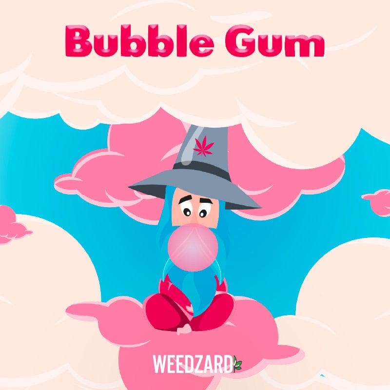 Bubble Gum CBD 20% Bubble Gum Erba Legale CBD 20% Weedzard Infiorescenza