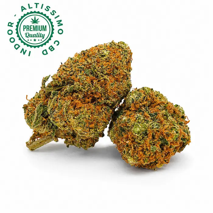 Northern Lights - Premium Indoor Selection CBD 21% Northern Lights CBD 24% - Erba legale Weedzard Infiorescenza