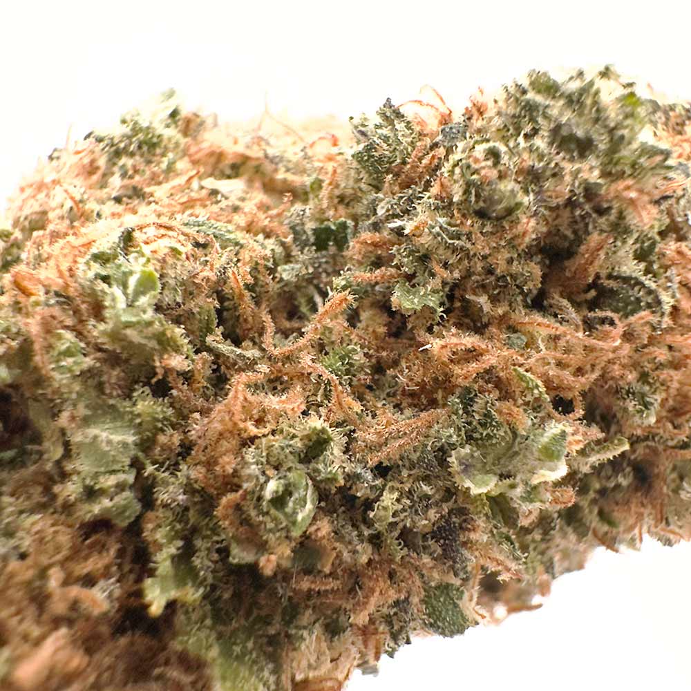 Northern Lights - Premium Indoor Selection CBD 21%