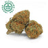 Northern Lights - Premium Indoor Selection CBD 21% Infiorescenza