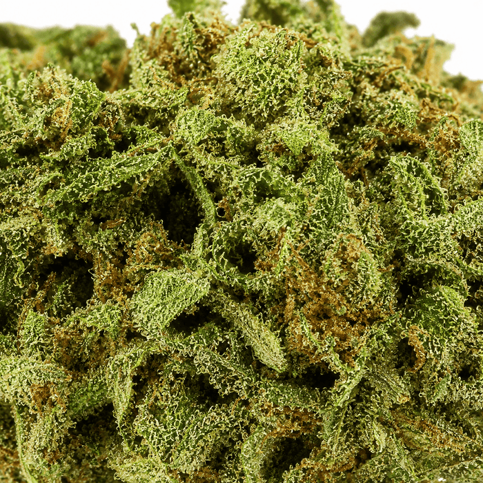 Macro infiorescenza Pineapple CBD 20% Weedzard