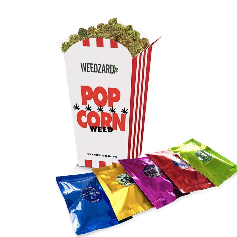 Pop-Corn Weed Pop Corn Weed - Erba legale Weedzard Infiorescenza