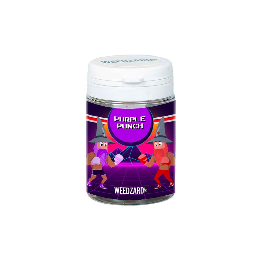 Purple Punch CBD 21% Purple Punch - Cannabis light CBD 21% Weedzard Infiorescenza