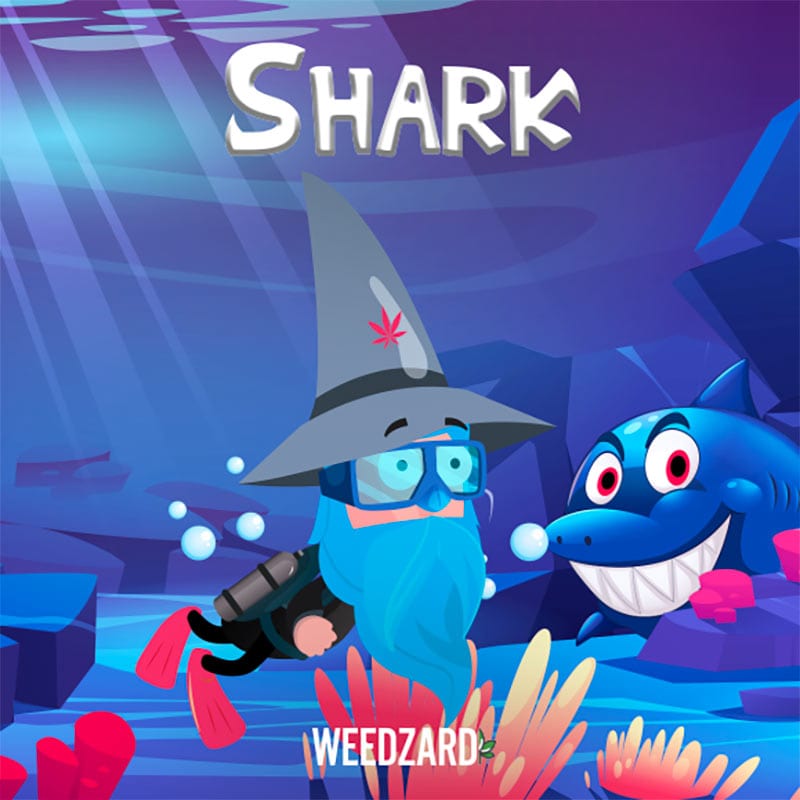 grafica shark weedzard