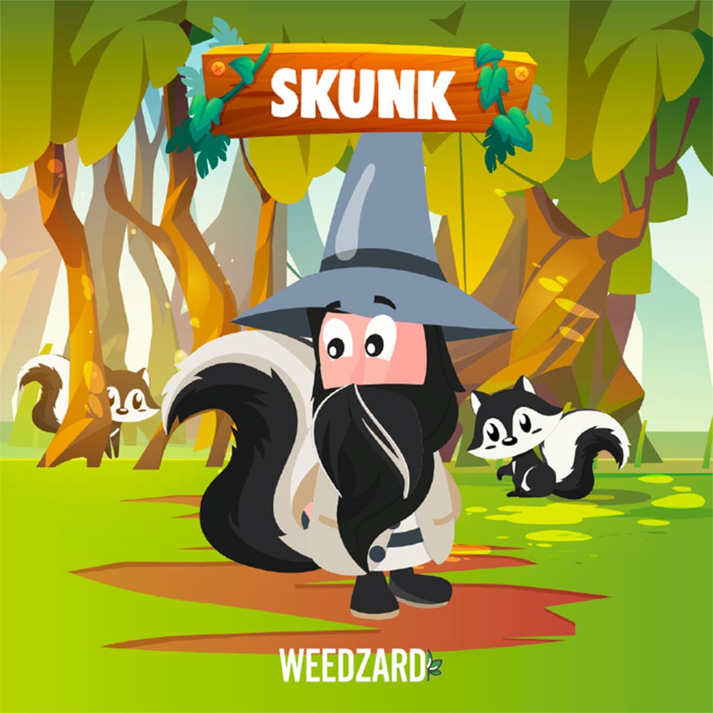 Skunk CBD 21% Skunk CBD 21% - Erba Legale Weedzard Infiorescenza