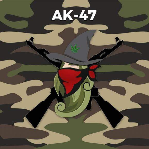 Infiorescenza AK 47 CBD 16% Weedzard