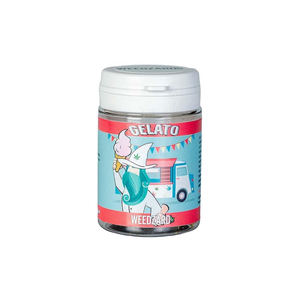 Gelato CBD 20% Erba Legale Gelato con 20% CBD Weedzard Infiorescenza