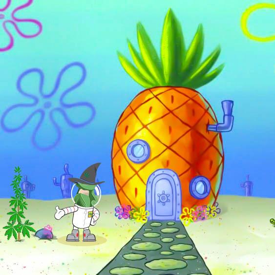 Pineapple CBD 20% Pineapple Erba legale CBD 20% Weedzard Infiorescenza