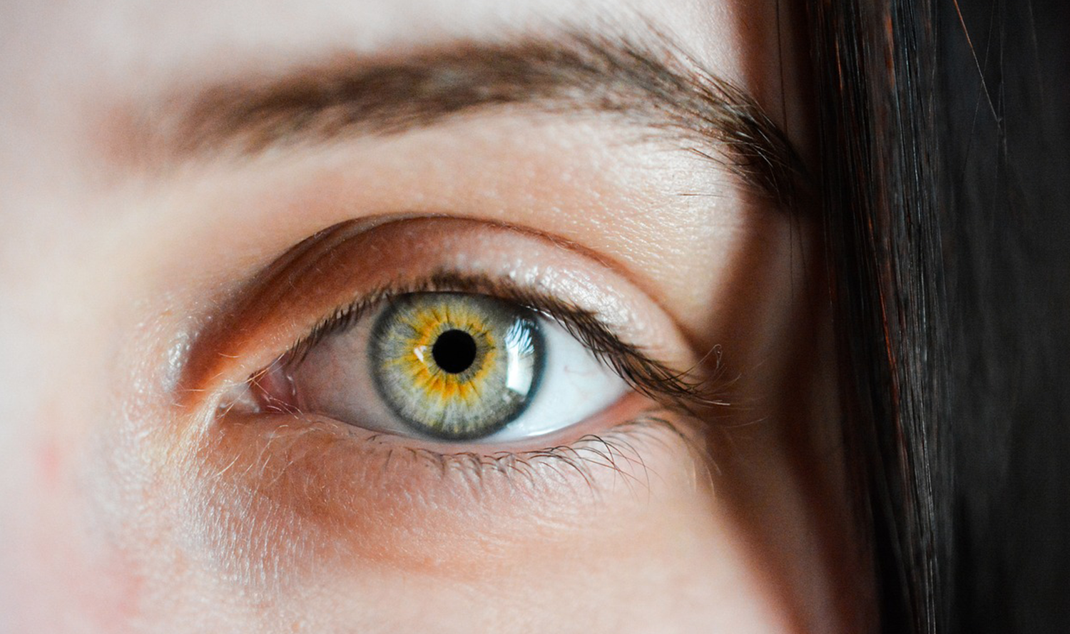Il CBD può prevenire il Glaucoma?