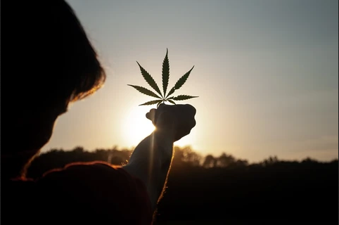 CBD contro ansia: il potere della Cannabis light