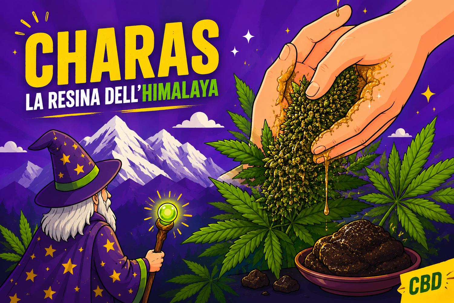 Illustrazione del charas, la tradizionale resina di cannabis dell’Himalaya ottenuta sfregando a mano le infiorescenze ancora vive della pianta