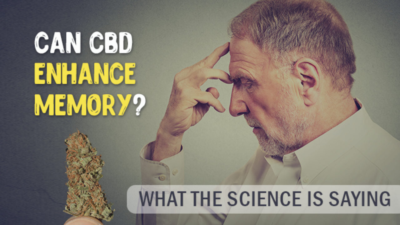 CBD ed effetti sulla memoria ~ Weedzard ~ Cannabis Light news