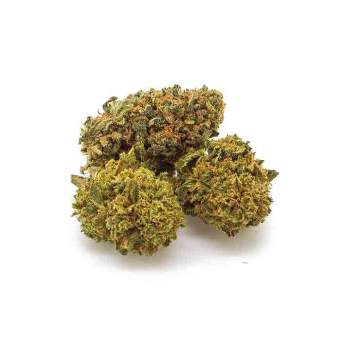 Amnesia Haze CBD 24% cannabis light Weedzard
