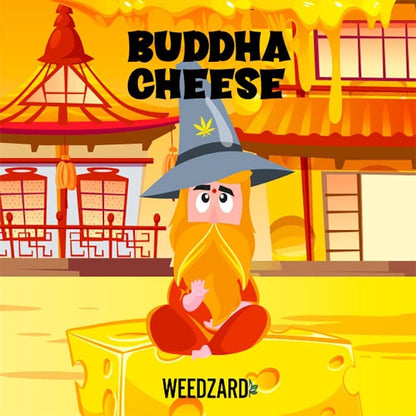 Buddha Cheese CBD 19% Buddha Cheese CBD 19% Marijuana Light - Erba Legale Weedzard Infiorescenza