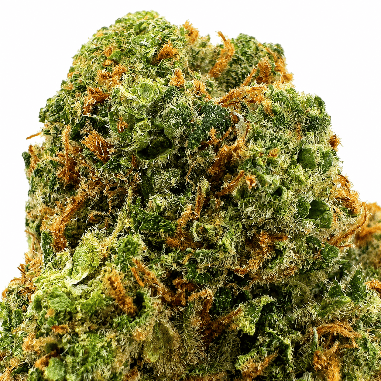 Dettaglio cima California Haze CBD 24%