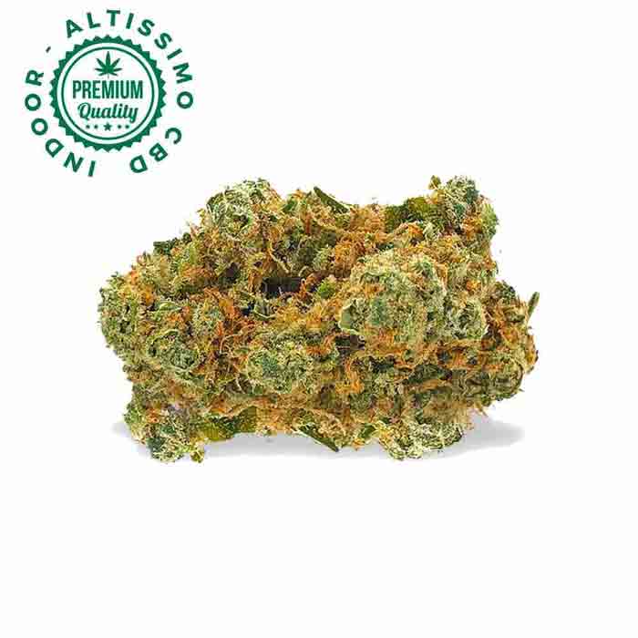 California Haze - Premium Indoor Selection CBD 24% California Haze CBD 24% | Cannabis Light Indoor Premium Weedzard Weedzard Infiorescenza