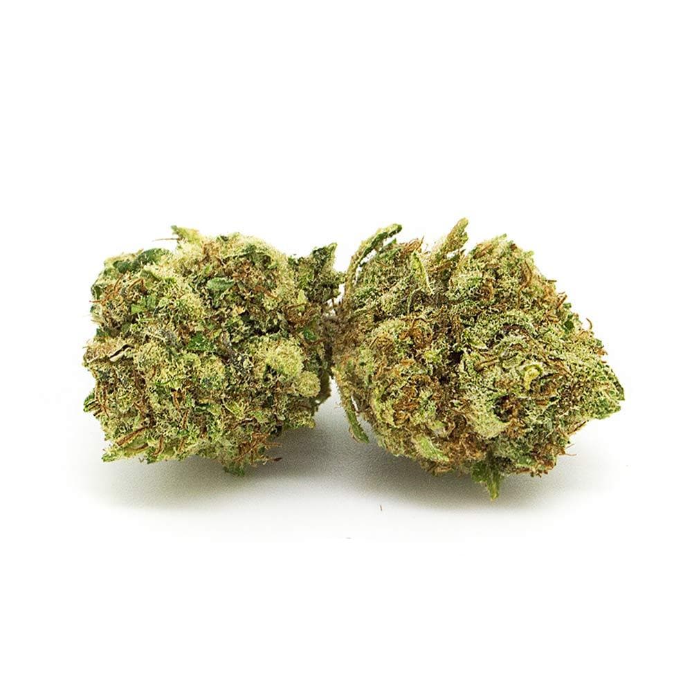 Gelato CBD 20% Erba Legale Gelato con 20% CBD Weedzard Infiorescenza