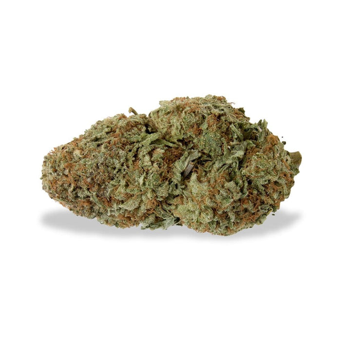 Gorilla Glue Premium CBD 20% Weedzard
