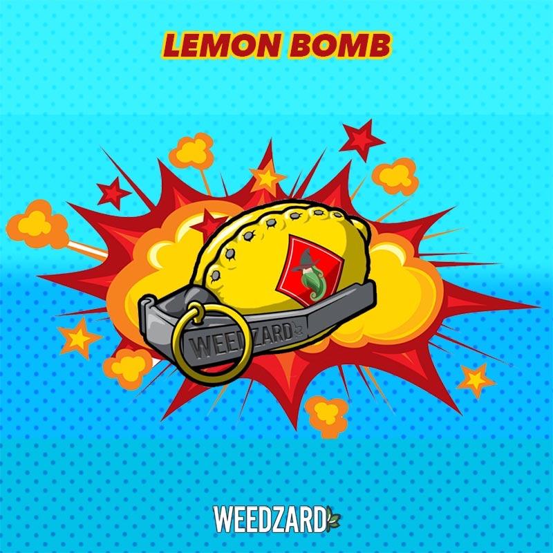 Lemon Kush Bomb CBD 19% Lemon Kush Bomb CBD 19% - Erba legale Weedzard Infiorescenza