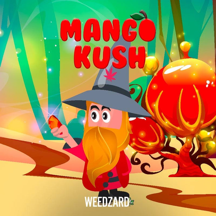 Grafica aroma Mango Kush CBD 22% Weedzard