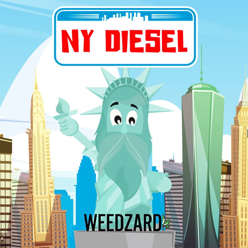 New York Diesel CBD 18% New York Diesel (18% CBD) - Erba legale Weedzard Infiorescenza