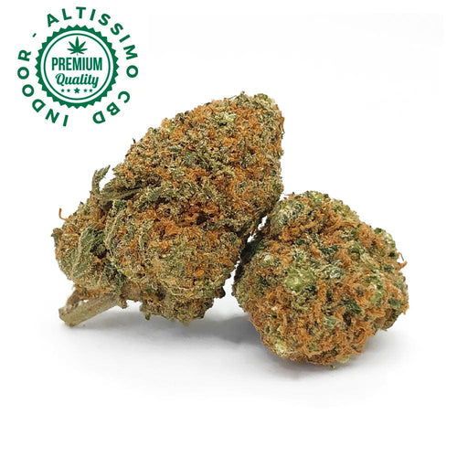Northern Lights - Premium Indoor Selection CBD 21% Infiorescenza
