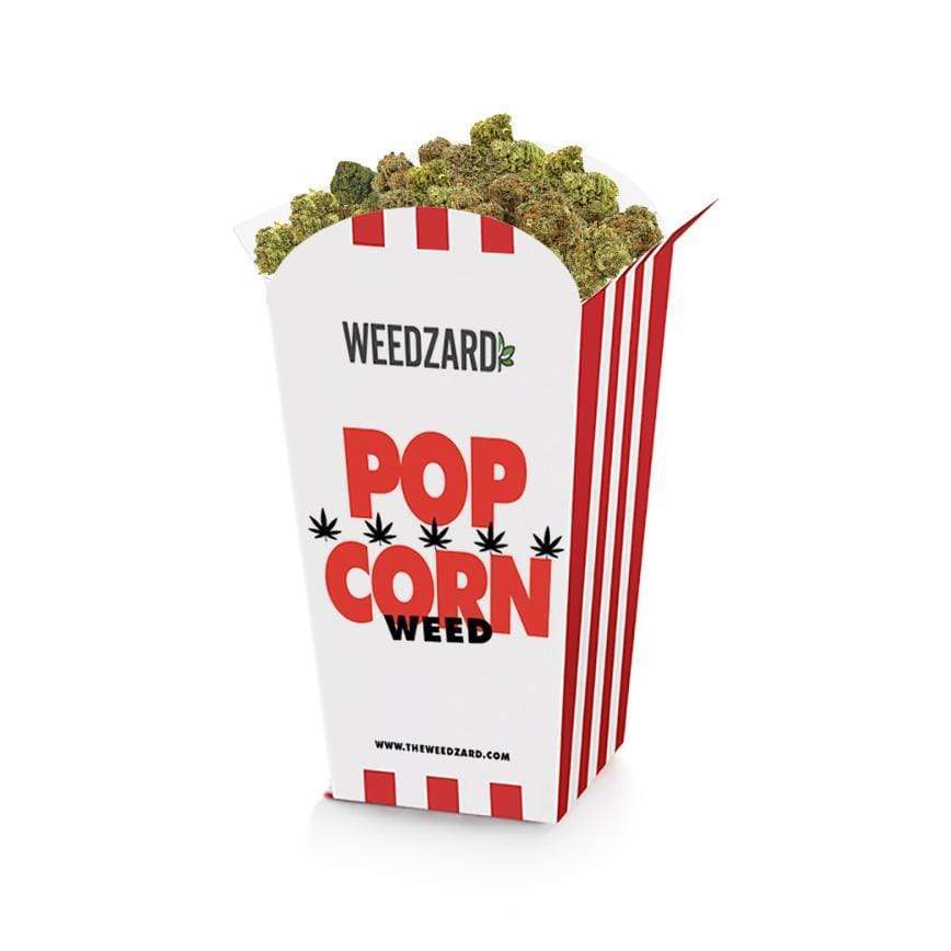 Pop-Corn Weed Pop Corn Weed - Erba legale Weedzard Infiorescenza