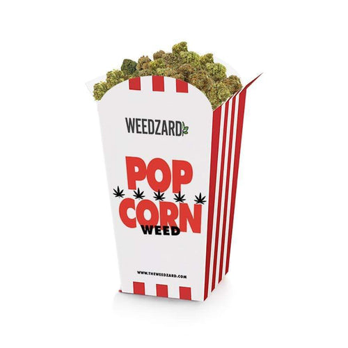 Pop Corn CBD