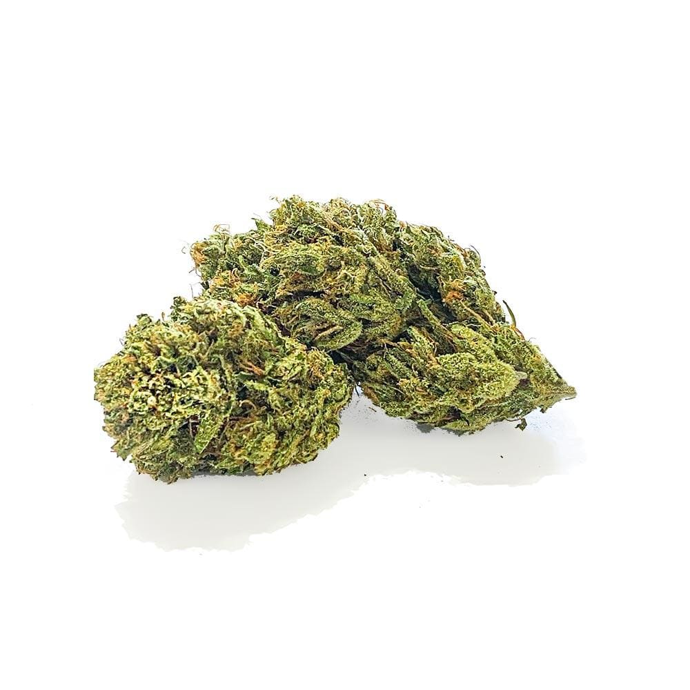 Shark Premium CBD 24% Cannabis legale Shark CBD 24% Weedzard Infiorescenza