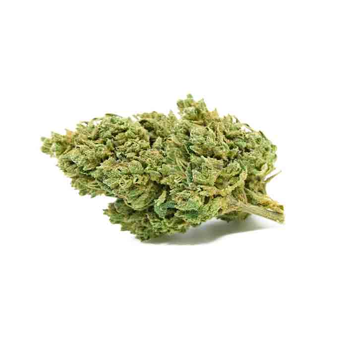 Skywalker Premium CBD 25% Skywalker CBD cannabis light 25% Weedzard Infiorescenza