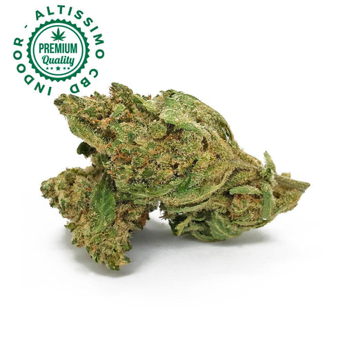 Sour Diesel Erba Legale - Premium Indoor Selection CBD 21% Infiorescenza Weedzard